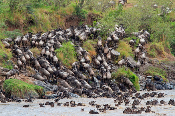 Serengeti National Park